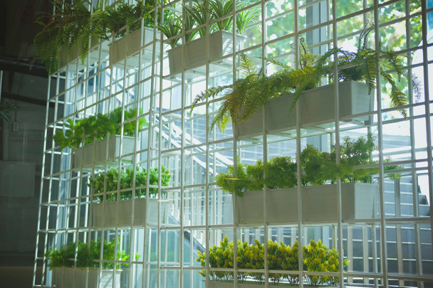 kunstmatige plant. nep bloempot in verticale binnentuin - Foto, afbeelding