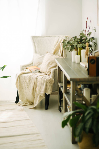Light room. Interior design. Armchair with a plaid. Pillows. Comfort, simplicity. Large window and plants. - Φωτογραφία, εικόνα