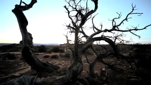 σούρουπο πάνω από ένα έρημο τοπίο - Πλάνα, βίντεο