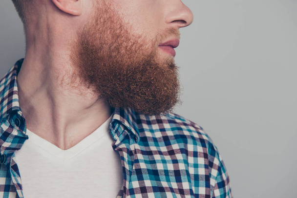 Cropped close-up profile side view portrait of well-groomed calm handsome guy with beard wearing checked shirt isolated over gray pastel background - Foto, afbeelding