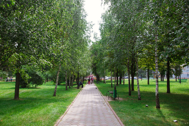 Park in the city center in sunny bright summer weather - Fotoğraf, Görsel