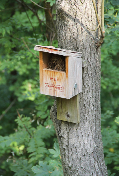 caixa de nidificação de madeira na árvore
 - Foto, Imagem