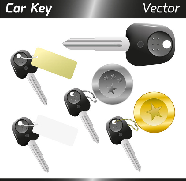 Vectoriële autosleutels met sleutelbewaarder en tag geïsoleerd op witte achtergrond - Vector, afbeelding