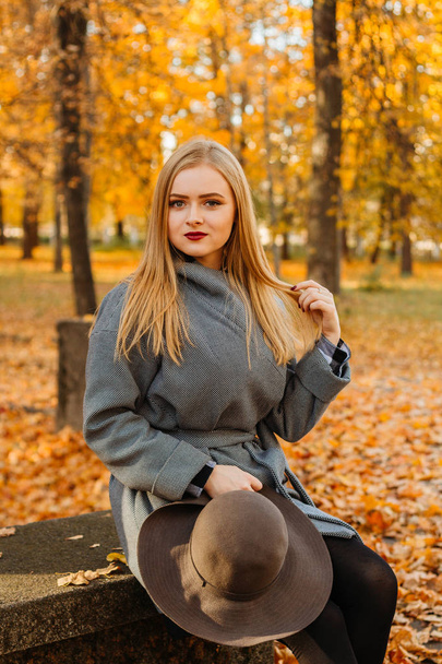 Young girl in a coat in autumn park. Yellow leaves on the trees. - Фото, зображення