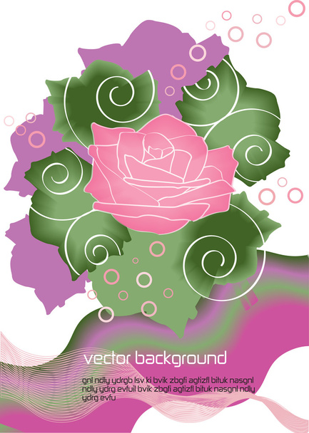 complimentary card design with rose flowers and place for text - Vector, imagen