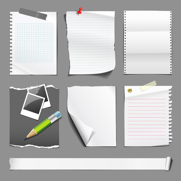 White paper collections design - Vector, Image