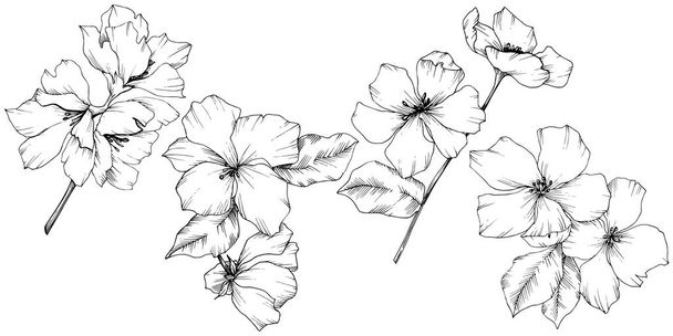 Vector. Flores de abóbora. Folha selvagem da primavera. Maçã isolada b
 - Vetor, Imagem