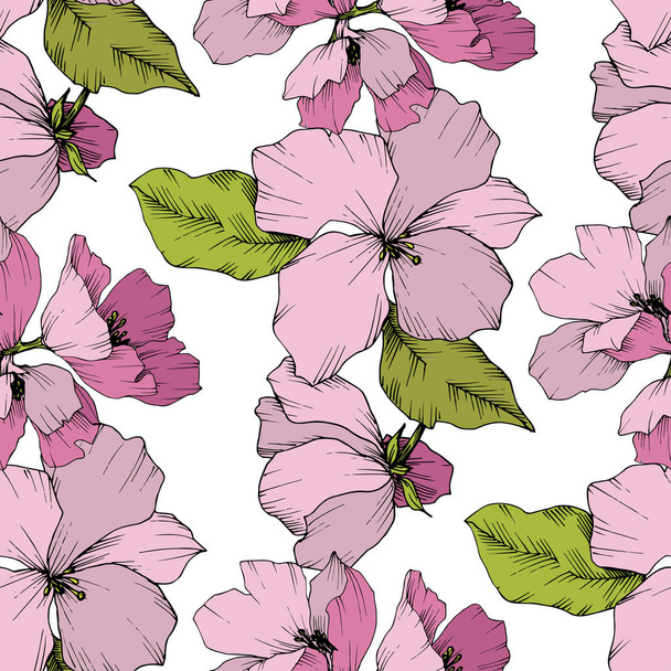 Vector. Appe blossom flowers. Engraved ink art. Seamless backgro - Вектор,изображение