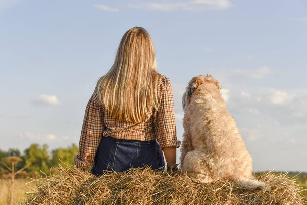Uzun saçlı bir kız Tüylü bir köpek yanında oturur bir haystack kamera arkası - Fotoğraf, Görsel