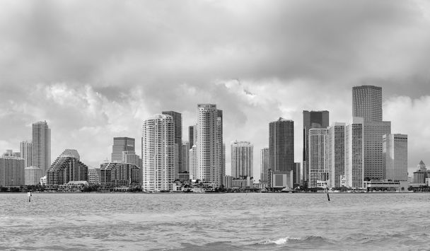 Miami czarno-białe - Zdjęcie, obraz