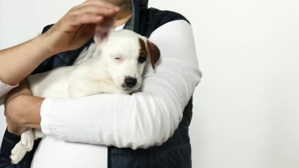 Man in in an orange sweater holds a puppy in his arms. - Filmati, video