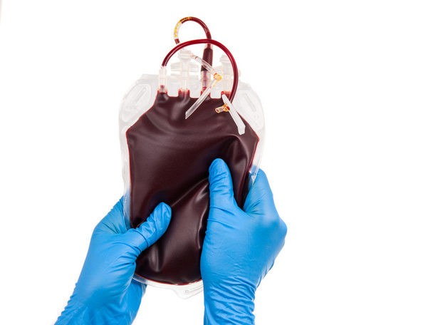 saco de sangue nas mãos de uma enfermeira
 - Foto, Imagem