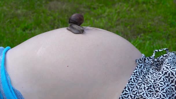 ventre de femme enceinte et gros escargot ramper dessus
 - Séquence, vidéo