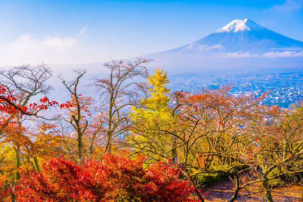 山梨県の秋の青空と白い雲のメープル リーフ ツリーの周り山富士の美しい風景 - 写真・画像