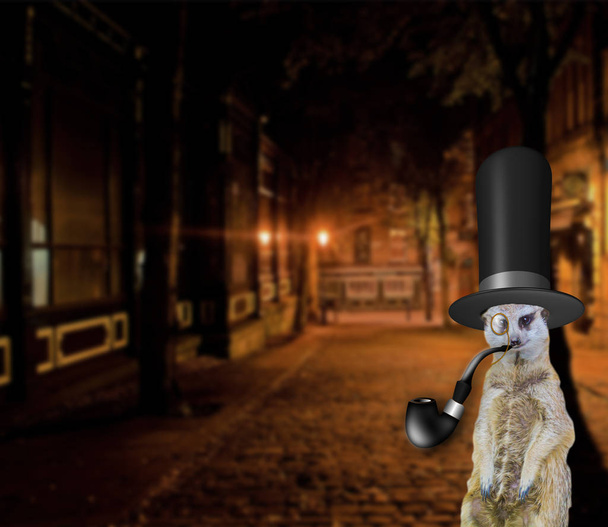 стара англійська кумедна концепція пох Суріката в вінтажному верхньому капелюсі і стоїть на міських вулицях
 - Фото, зображення