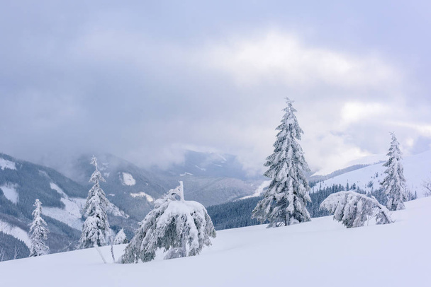 Fantastic winter landscape - Valokuva, kuva