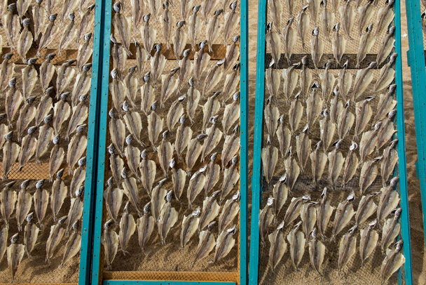 Ψάρι ψέματα σχετικά με δίχτυα, ξηραίνονται στον ήλιο, στην παραλία στη Nazare της Πορτογαλίας ως φόντο - Φωτογραφία, εικόνα