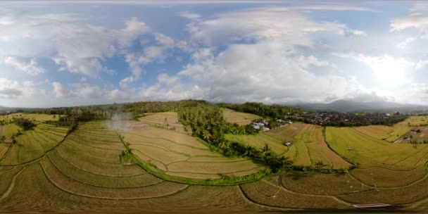 Riisiterassit ja maatalousmaa Indonesiassa vr360
 - Materiaali, video