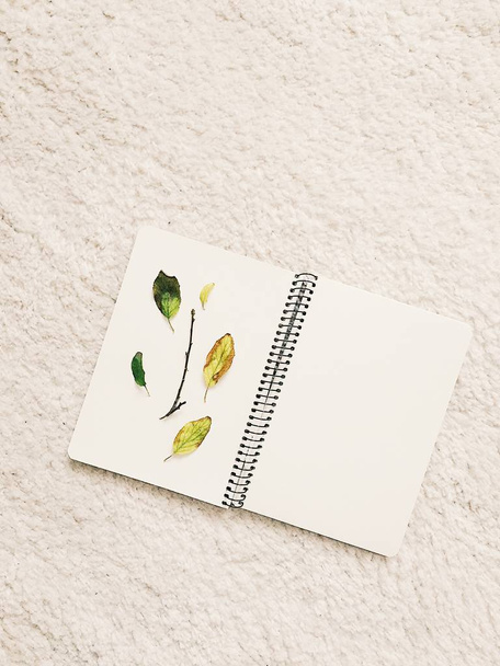 Notebook s suché listí na koberec - Fotografie, Obrázek