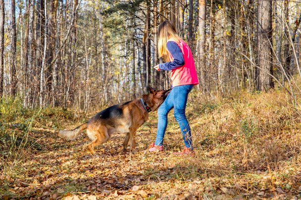 A girl walking her dog in colorful autumn forest - Foto, Bild