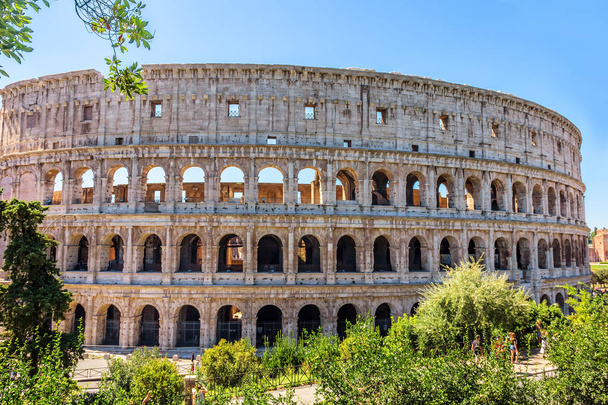 Coliseum in greenery, summer view,  no people, Rome, Italy - Photo, Image