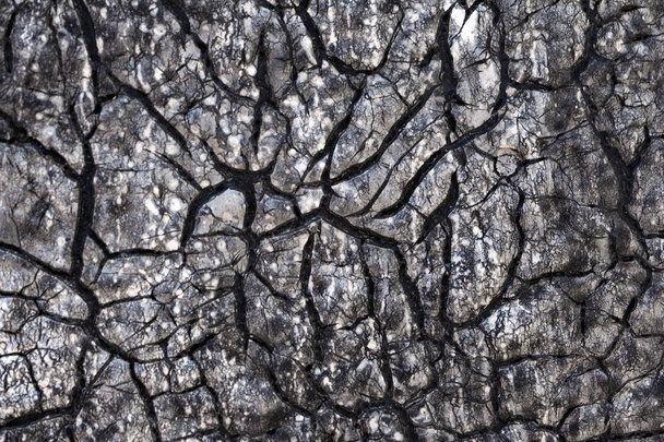Текстура структуры материала гидроизоляции
 - Фото, изображение