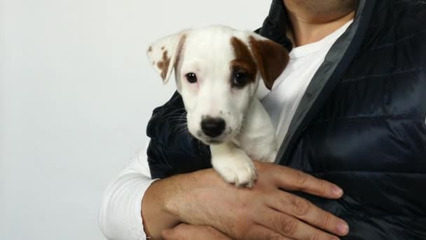 Man in in a blue vest holds a puppy in his arms. - Filmagem, Vídeo