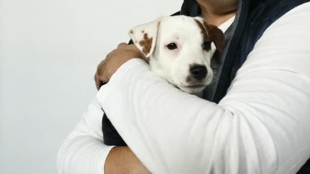 Man in in a blue vest holds a puppy in his arms. - Video, Çekim