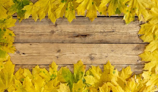 Podzimní listí na dřevěný stůl pozadí rámečku podzimu. - Fotografie, Obrázek