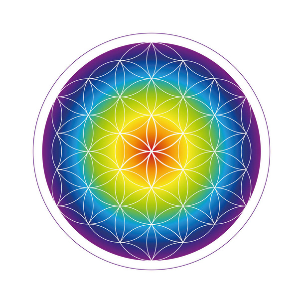 πολύχρωμο λουλούδι της ζωής γεωμετρία στα χρώματα του ουράνιου τόξου - Διάνυσμα, εικόνα