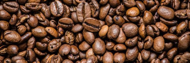 koffie graan (goede en slechte grain) - Arabica en Robusta blend (geroosterde koffie graan). Zwarte achtergrond. Bovenaanzicht. Kopiëren van ruimte. - Foto, afbeelding