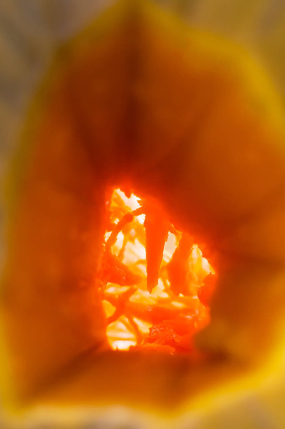 The middle of the pumpkin is in the light. Processes of orange color. A hole in a ripe pumpkin. - Foto, afbeelding