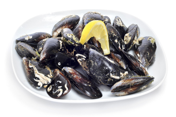 mussels - Photo, Image