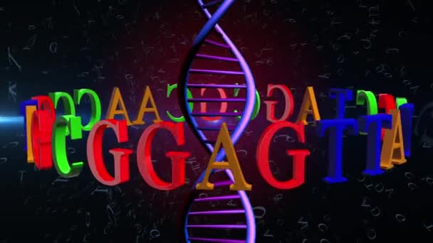 video animation of DNA helix with nitrogenous bases 4K - Footage, Video