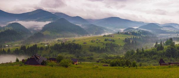夏にカルパチア山脈の素晴らしく美しい朝。夏の山で山村 Dzembronya の霧の朝の絶景. - 写真・画像