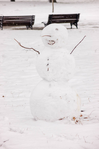 muñeco de nieve en el parque, nota poca profundidad de campo
 - Foto, imagen