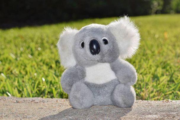 A gevuld Koala souvenir speelgoed genieten van de warme zon, genomen op ooghoogte. - Foto, afbeelding