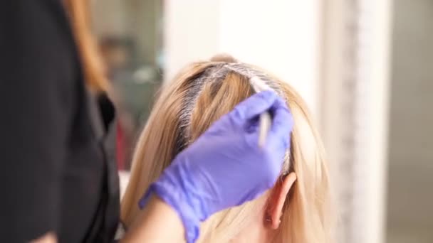 A close up of a woman's head sitting back to the camera. Hair is parted and the hairdresser applies dye with a tint brush. Hairdresser takes a strand of hair and applies the dye again - Felvétel, videó
