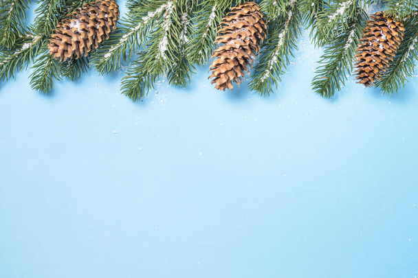 Větev stromu Sněžná jedle a šišky na modrém pozadí.  - Fotografie, Obrázek