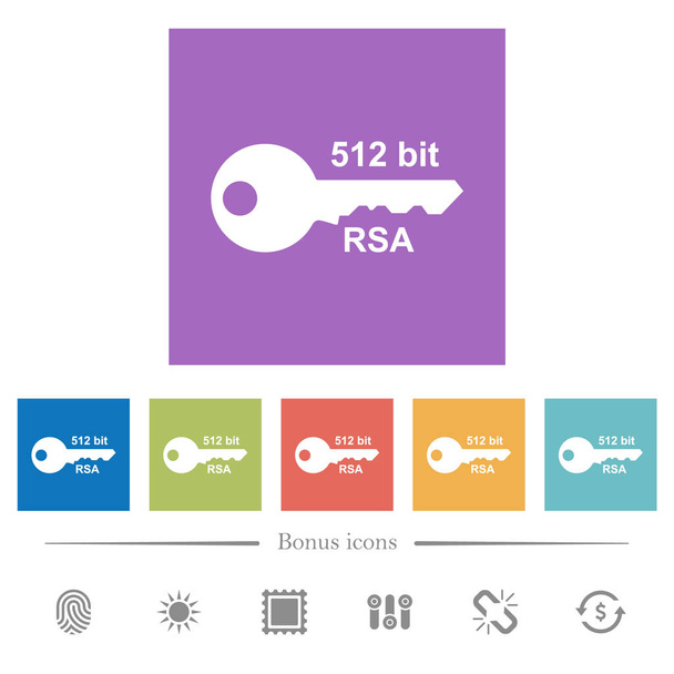 512 bit rsa encryption flat white icons in square backgrounds. 6 bonus icons included. - Vector, Image