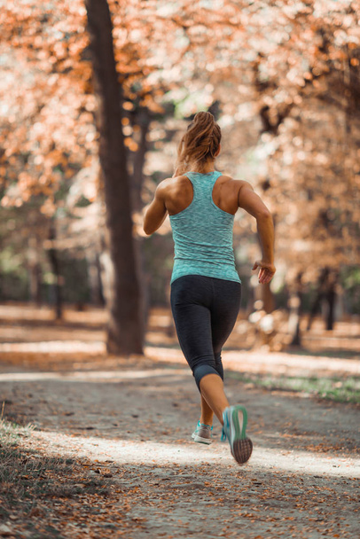 Женщина бегает трусцой на природе осенью, в общественном парке
 - Фото, изображение