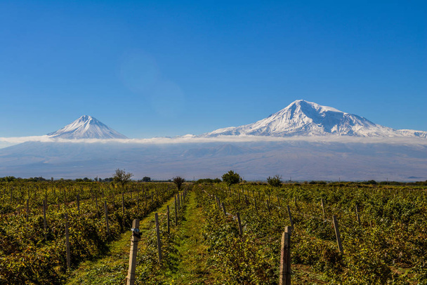  View of Mout Ararat from Armenia - Photo, Image