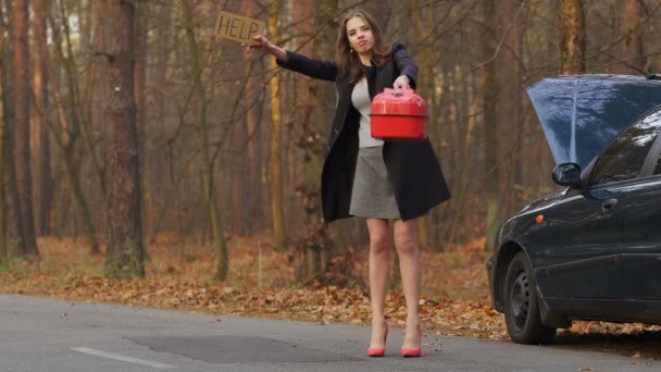 4K. Sexy joven mujer emocionalmente esperar ayuda con el cartel, pedir gasolina
 - Imágenes, Vídeo