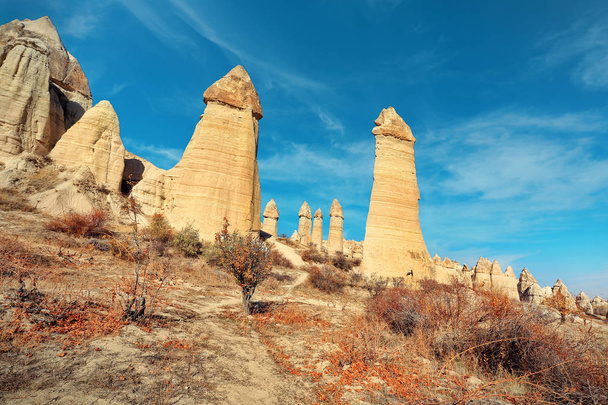 Rock formations known as fairy chimneys in Love Valley near Goreme in the Cappadocia region of Turkey. - Zdjęcie, obraz