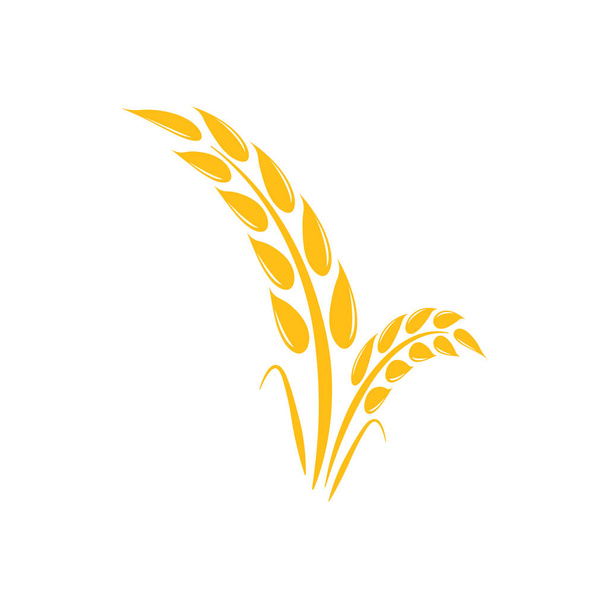 Pšenice zemědělství grafický design šablony vektor - Vektor, obrázek