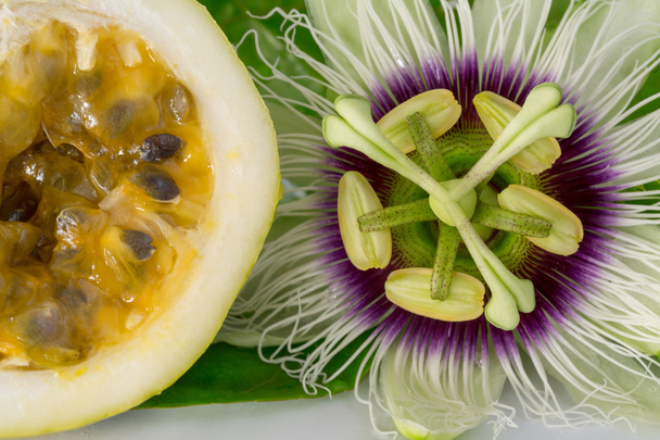 Пристрасна фруктова квітка зі стиглим зрізаним фруктом пристрасті, макро
 - Фото, зображення