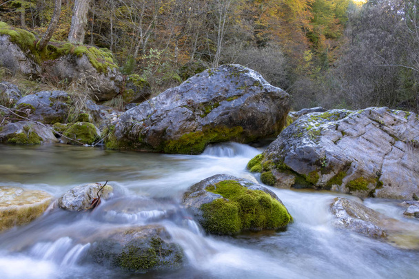 Górski potok z czysta woda płynie między głazy w lesie jesienią. Olimp. Grecja - Zdjęcie, obraz
