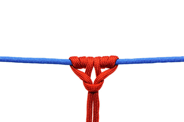 Knot  on a cord isolated on a white background . - 写真・画像