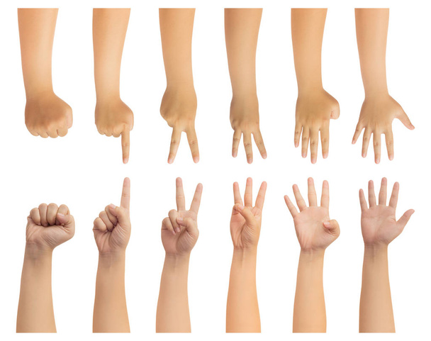 Человеческая рука протягивается и подсчитывает число ноль, один, два, три, четыре и пять пальцев жест изолировать на белом с отсечкой пути, высокое разрешение и низкий контраст для ретуши или графического дизайна
 - Фото, изображение