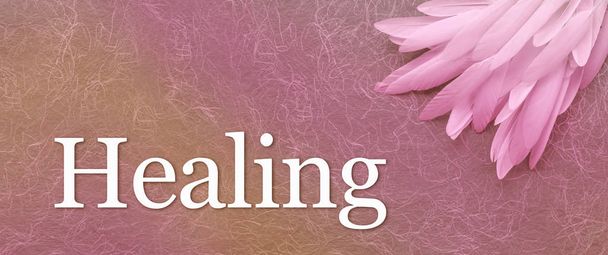 Angel Healing Feather Banner hoofd - een stapel van lange witte veren in de juiste hoek gelegd op een roze handgemaakte vezelig papieren achtergrond met het woord Healing hieronder - Foto, afbeelding